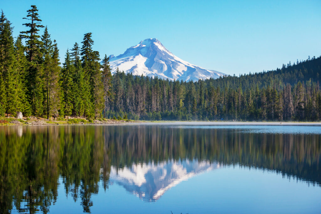 Mt. Hood