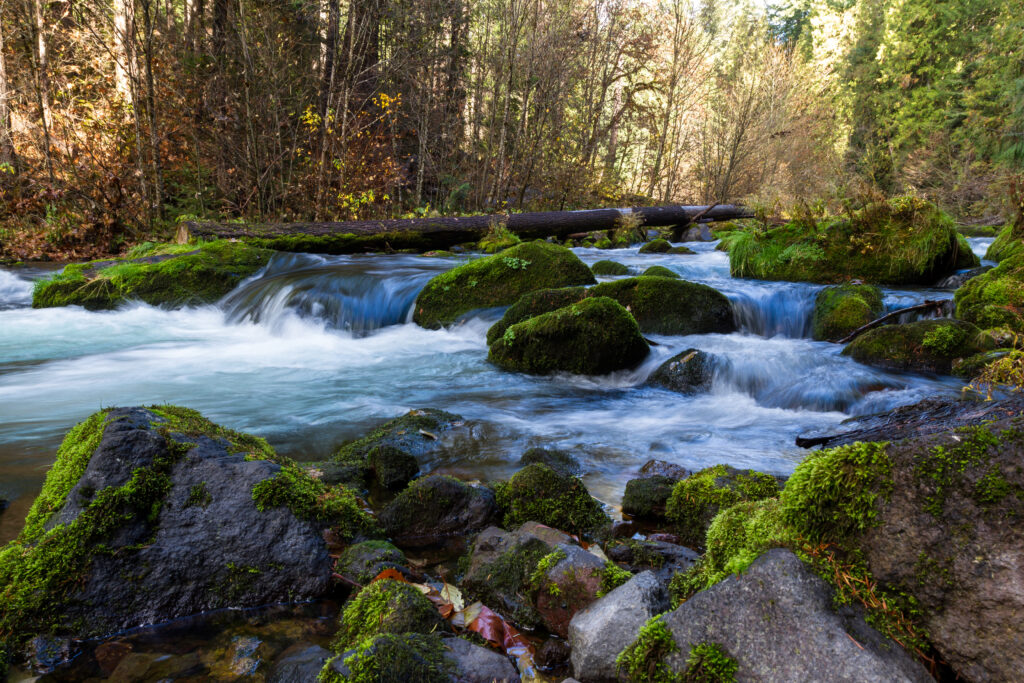 Umpqua River